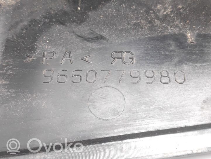 Peugeot 607 Boîte à fusibles 9650779880