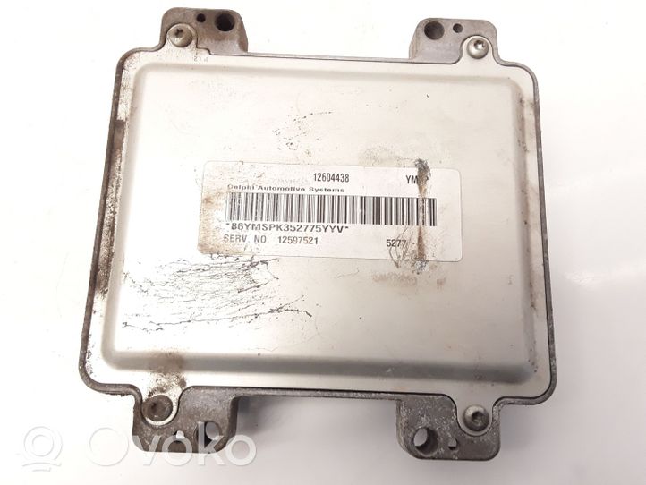 Saab 9-7X Sterownik / Moduł ECU 12604438