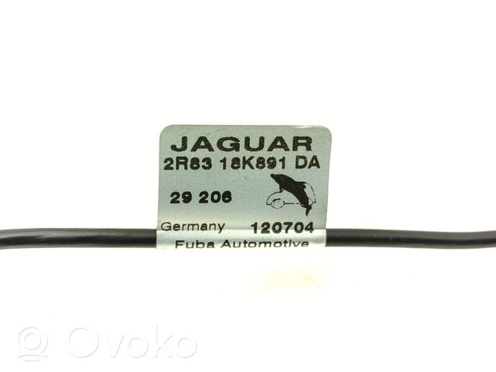 Jaguar S-Type Autres faisceaux de câbles 2R8318K891DA