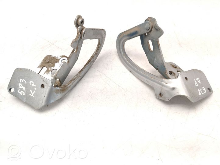 Peugeot 1007 Cerniere del vano motore/cofano 9649259780