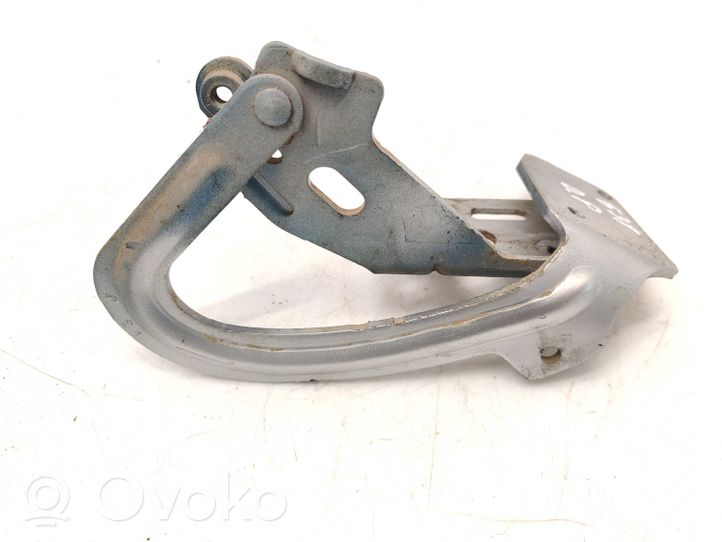 Peugeot 1007 Cerniere del vano motore/cofano 9649259780