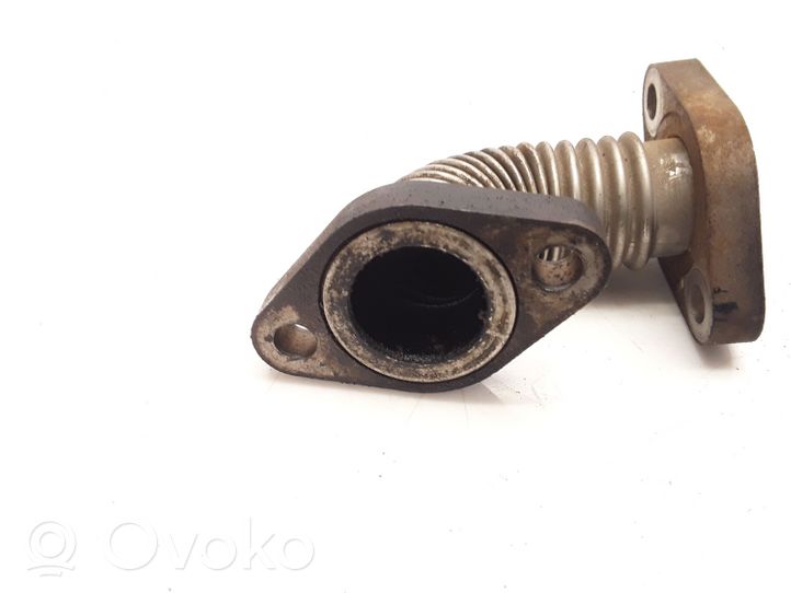 Alfa Romeo 166 EGR vamzdelis (-iai)/ žarna (-os) 