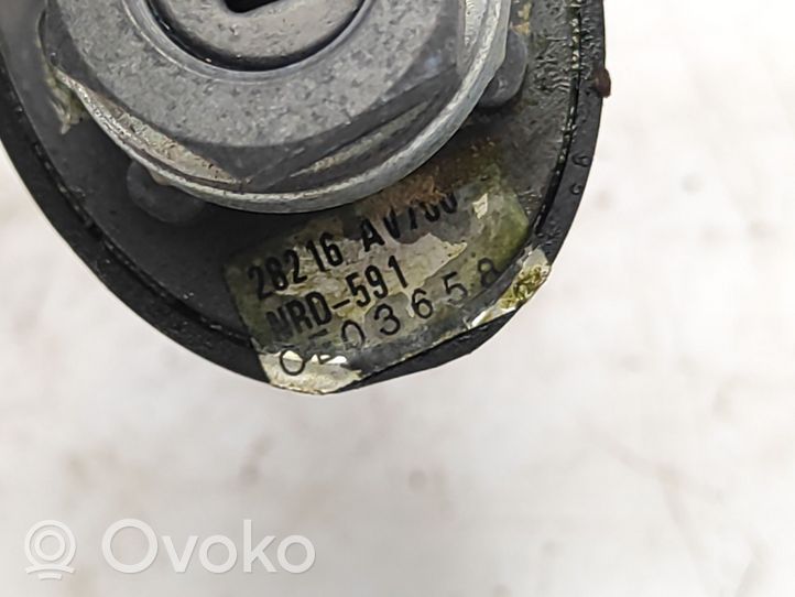 Nissan Primera Antena radiowa 28216AV700