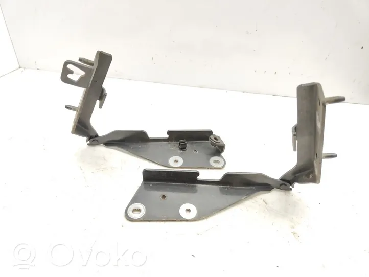 Citroen C3 Pluriel Cerniere del vano motore/cofano 9637365580