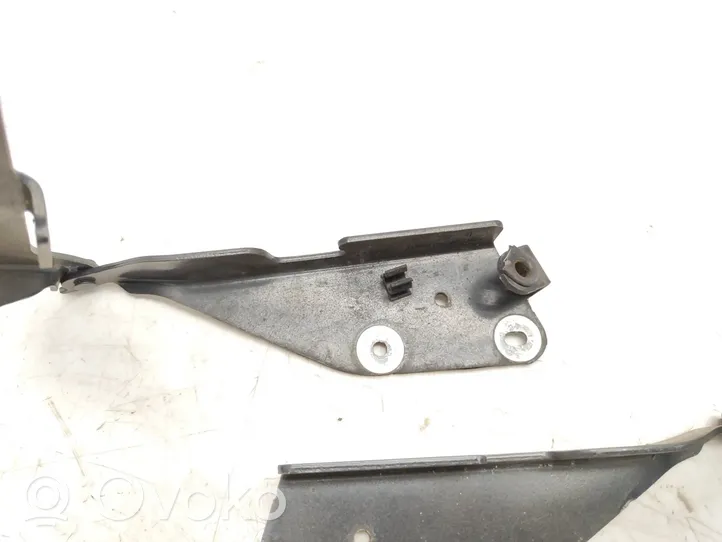 Citroen C3 Pluriel Cerniere del vano motore/cofano 9637365580