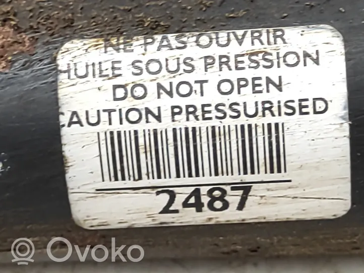Peugeot 607 Amortisseur arrière 2487