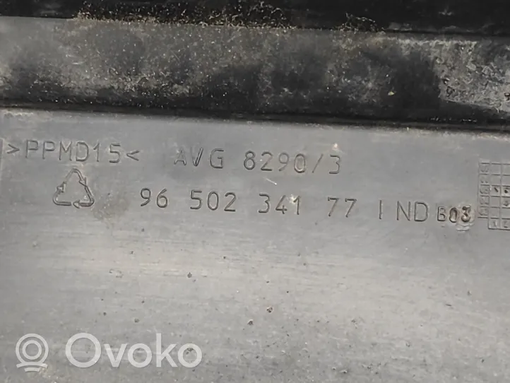 Citroen C5 Priekinio slenksčio apdaila (išorinė) 9650234177