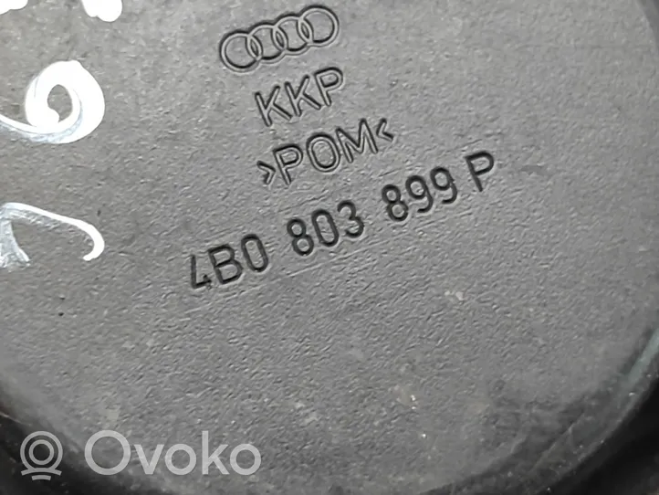 Audi A6 S6 C5 4B Крепежный винт (запасное колесо) 4B0803899P