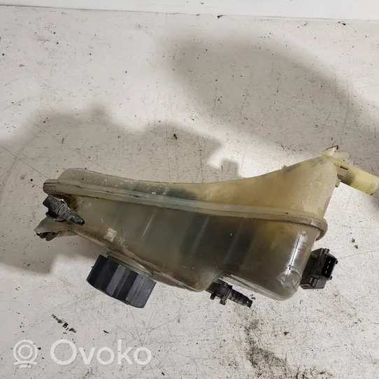 Citroen C3 Zbiornik wyrównawczy chłodziwa 9646902580