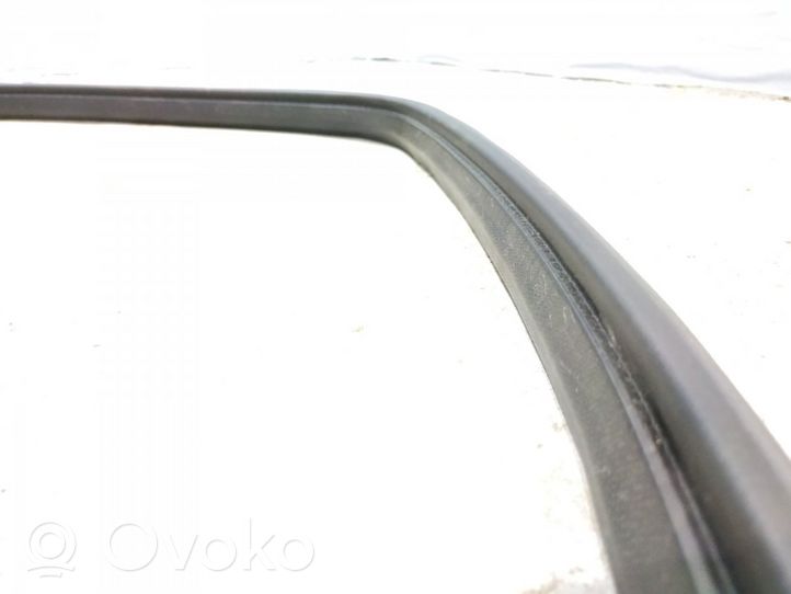 Mercedes-Benz A W169 Guarnizione in gomma finestrino/vetro portiera posteriore 