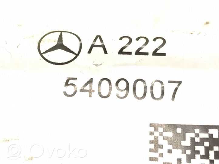 Mercedes-Benz S W222 Wiązka przewodów drzwi przednich 2225409007