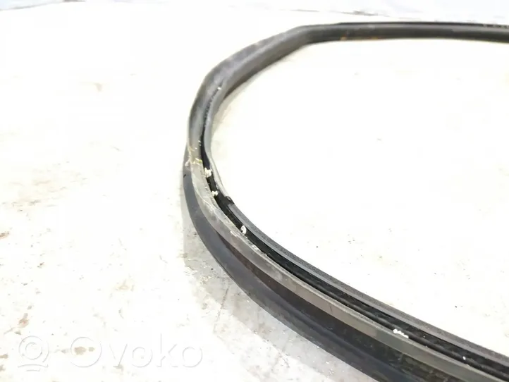 Mercedes-Benz CLS C218 X218 Trunk rubber seal (body) 