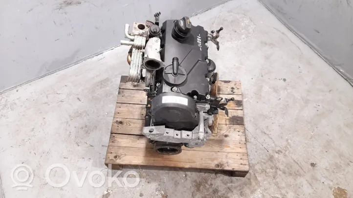 Skoda Octavia Mk2 (1Z) Dzinējs 