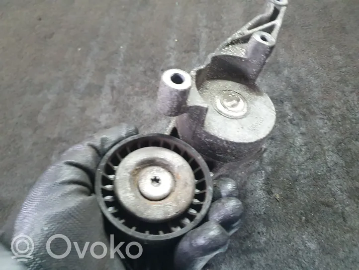 Volkswagen Touran I Tendicinghia generatore/alternatore 03G903315C