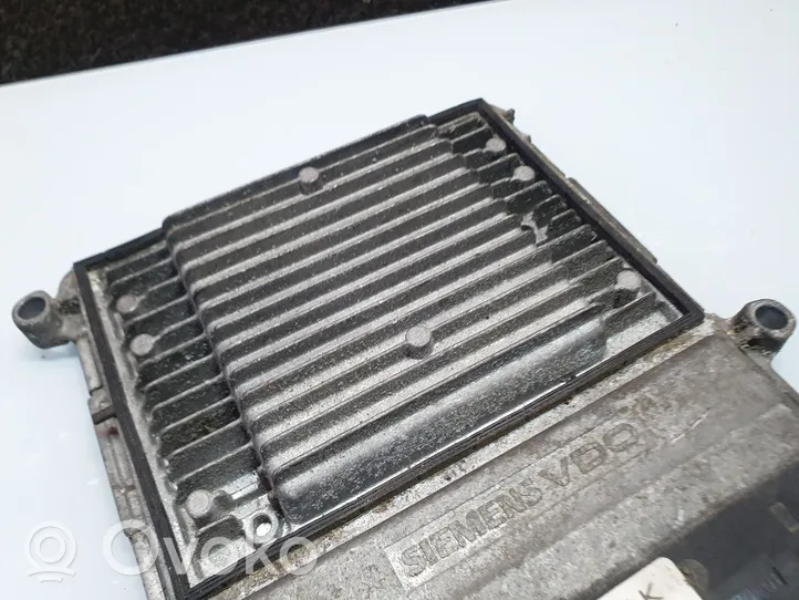 Hyundai Sonata Sterownik / Moduł ECU 3910025100