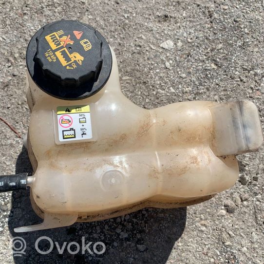 Ford F150 Coolant expansion tank/reservoir 