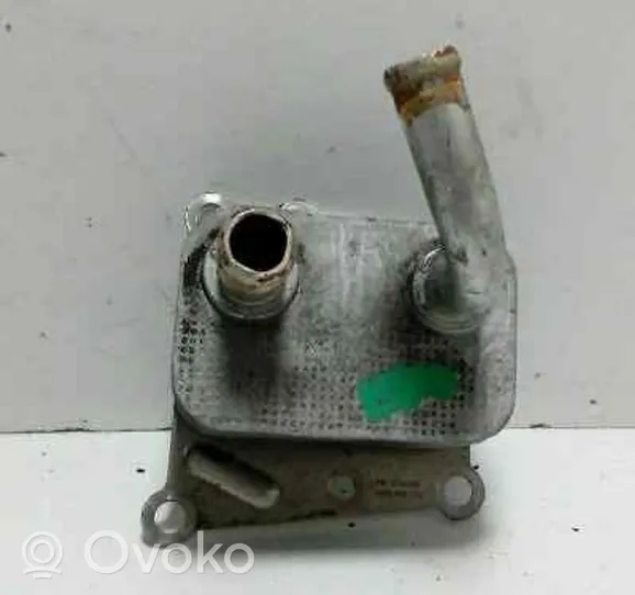 Ford Focus Radiatore del servosterzo YS6Q6A642BA