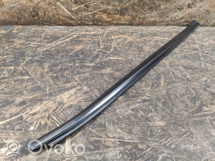 KIA Optima Rear door glass trim molding 