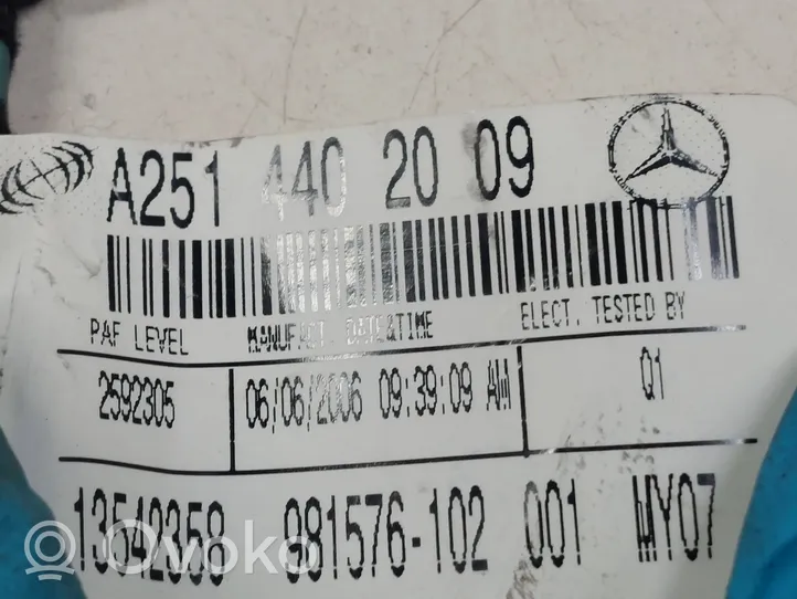 Mercedes-Benz R W251 Wiązka przewodów drzwi przednich A2514402009