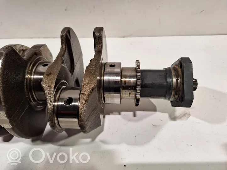 Fiat Tipo Crankshaft 