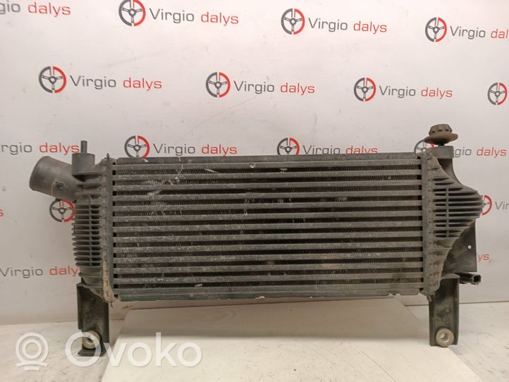 Nissan Navara D40 Radiatore intercooler 14461