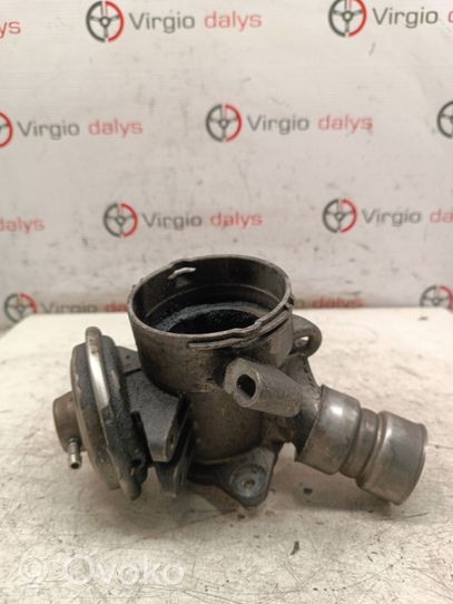 Mercedes-Benz ML W163 Valvola EGR A6110900754