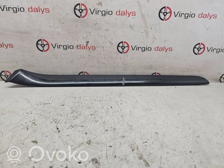 Audi A4 S4 B6 8E 8H Moulure/baguette de porte avant 8E0867409G