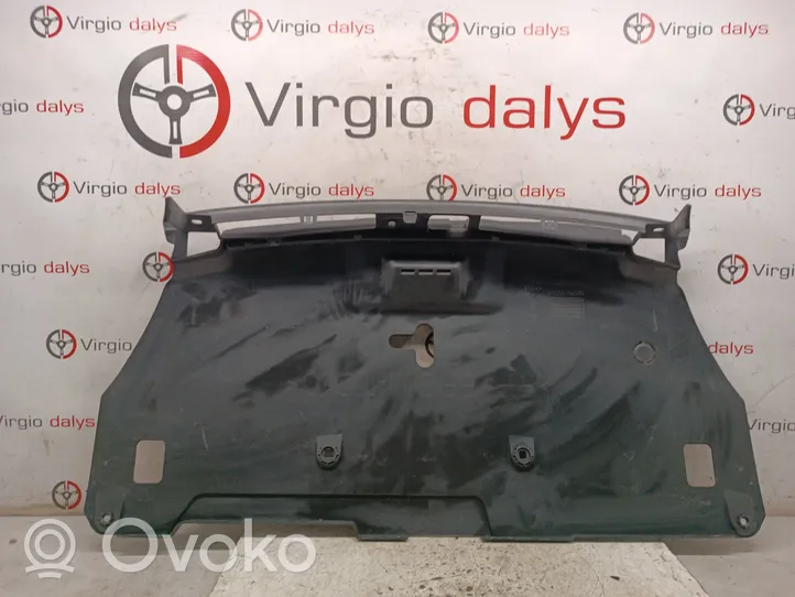 Renault Laguna III Viršutinė dalis radiatorių panelės (televizoriaus) 620780001R