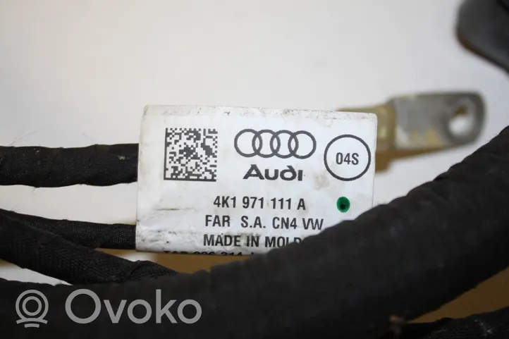 Audi A6 S6 C8 4K Autres faisceaux de câbles 4K1971111A