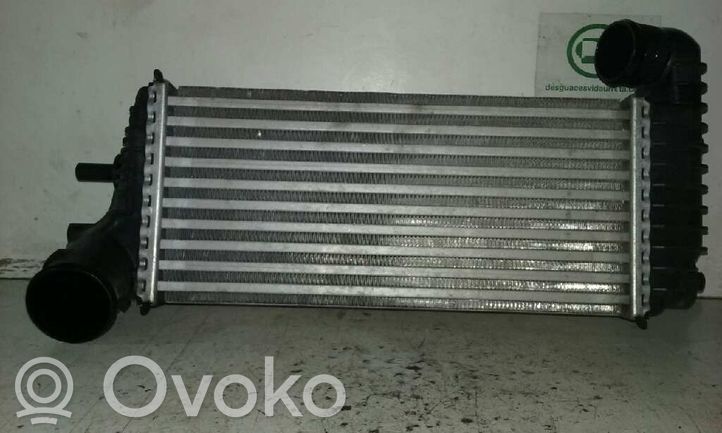 2027395 Ford Transit Custom Intercooler air guide/duct channel, 82.50 ...