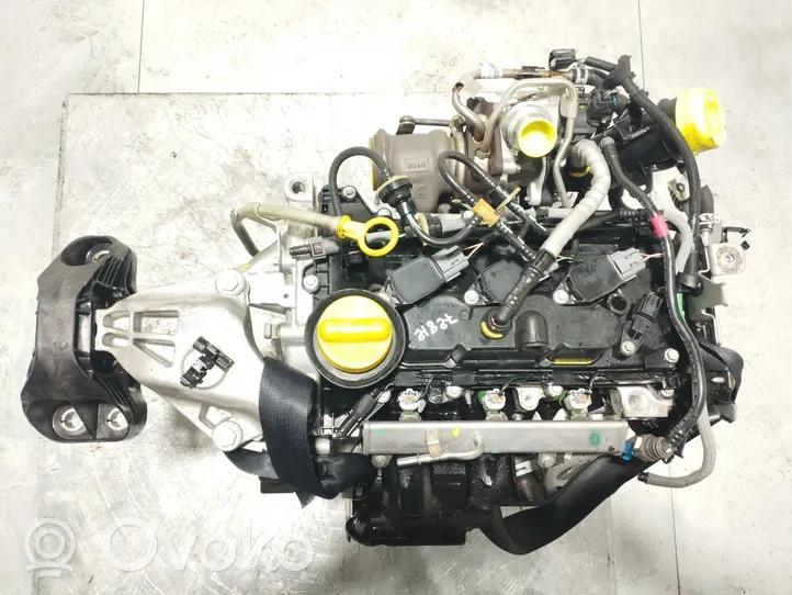 Renault Clio V Silnik / Komplet H4D450