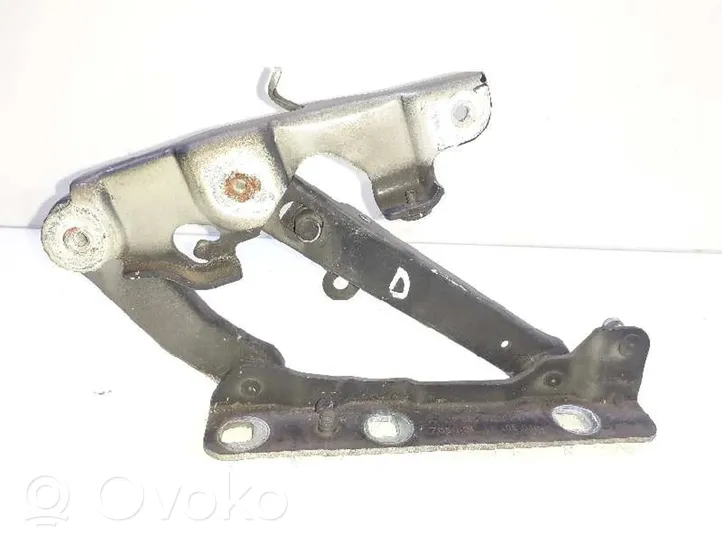 Mercedes-Benz E W211 Cerniere del vano motore/cofano A2118800428