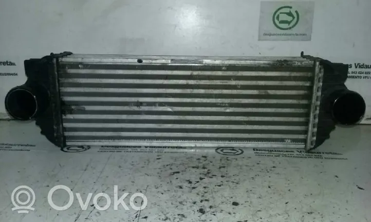 Ford Tourneo Starpdzesētāja radiators 4999282