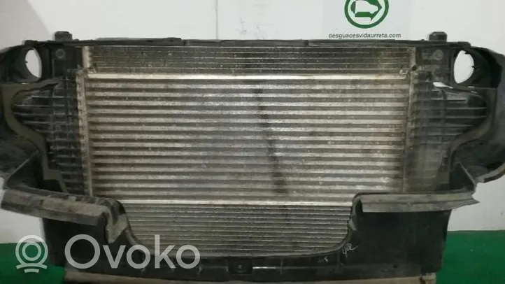 Mercedes-Benz R AMG W251 Chłodnica powietrza doładowującego / Intercooler A2515000000