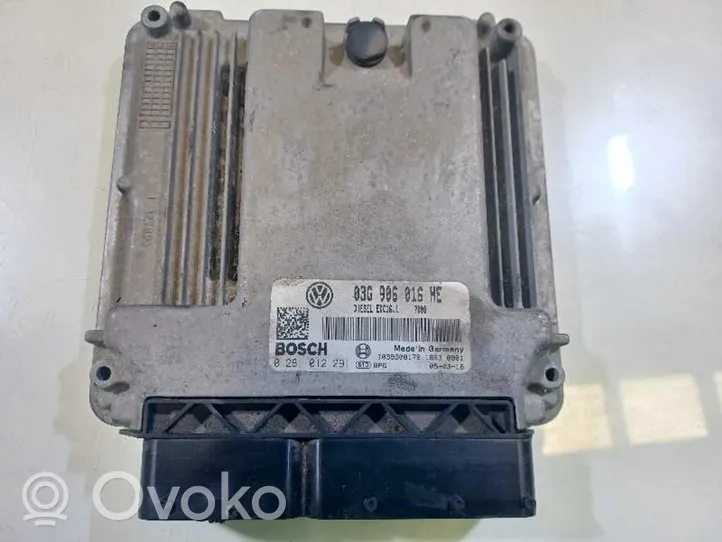 Seat Toledo III (5P) Komputer / Sterownik ECU silnika 03G906016HE