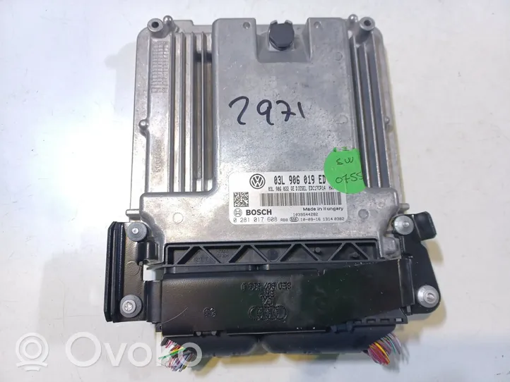 Seat Exeo (3R) Motora vadības bloka ECU 03L906019ED