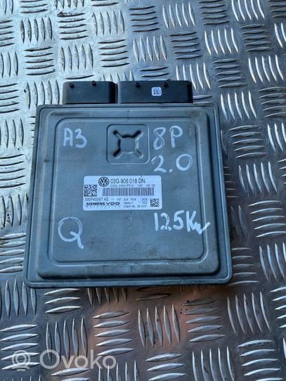 Audi A3 S3 8P Sterownik / Moduł ECU 03G906018DN