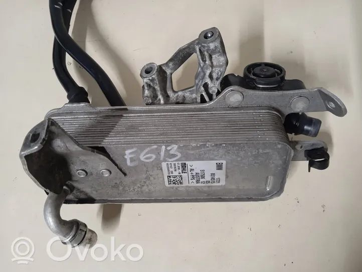 BMW 5 F10 F11 Transmission/gearbox oil cooler 8514515