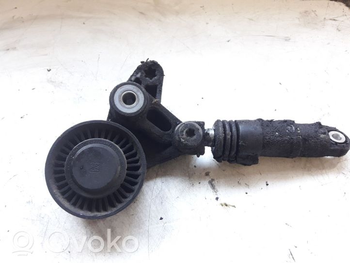 Audi Q7 4L Tendicinghia generatore/alternatore 059145201F