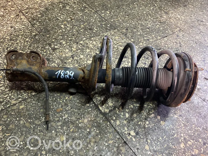 Hyundai Santa Fe Front shock absorber/damper 