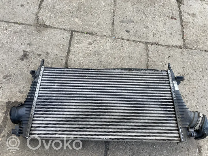 Opel Insignia A Chłodnica powietrza doładowującego / Intercooler 13241751