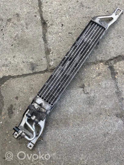 Mercedes-Benz A W169 Dzesēšanas šķidruma radiators A1695000200