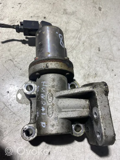 Hyundai H-1, Starex, Satellite EGR valve 284104A470