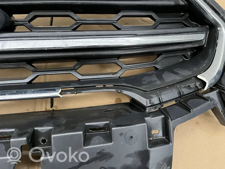 Ford Ecosport Front grill 