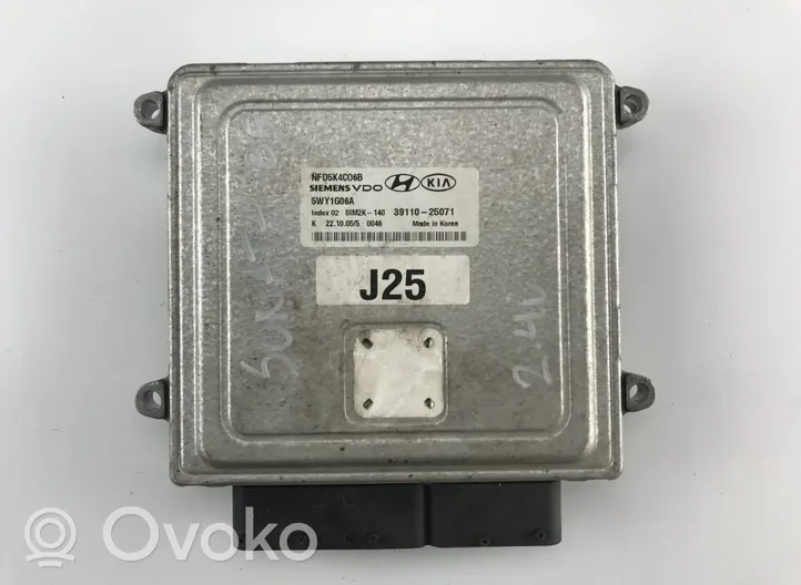 Hyundai Sonata Calculateur moteur ECU 39110-25071