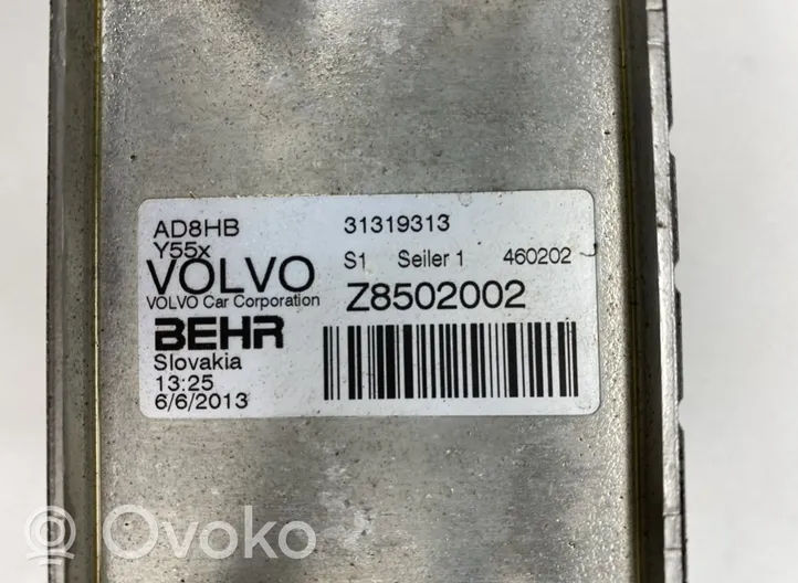 Volvo V40 Moottoriöljyn jäähdytinlaite 31319313