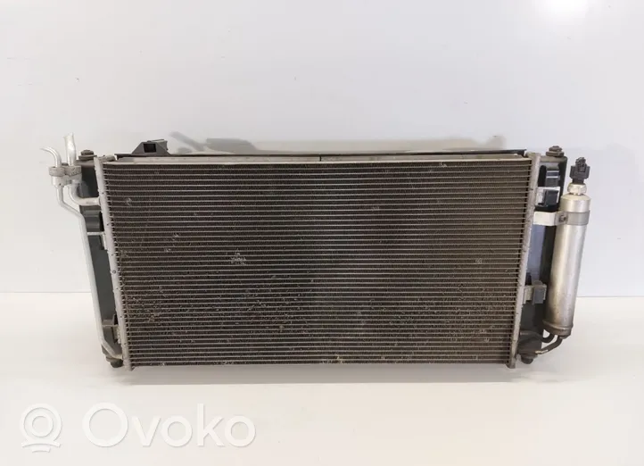 Nissan Leaf I (ZE0) Kit Radiateur A18700A28001