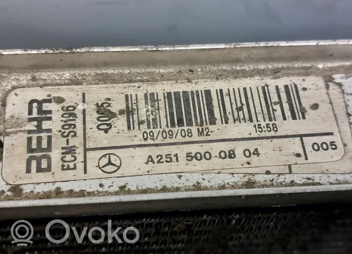 Mercedes-Benz ML W164 Set del radiatore A2515000703
