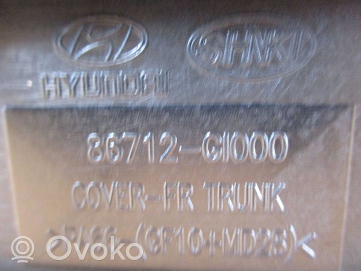 Hyundai Ioniq 5 Tavarahylly 86712-GI000