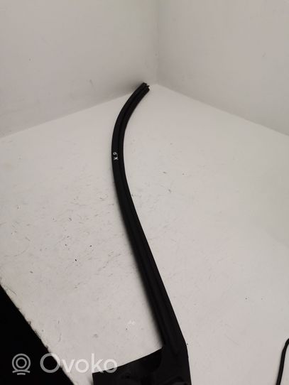 Mercedes-Benz S AMG W222 Rubber seal front coupe door 